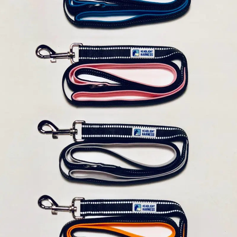 Headlight Harness Reflective Double Leash