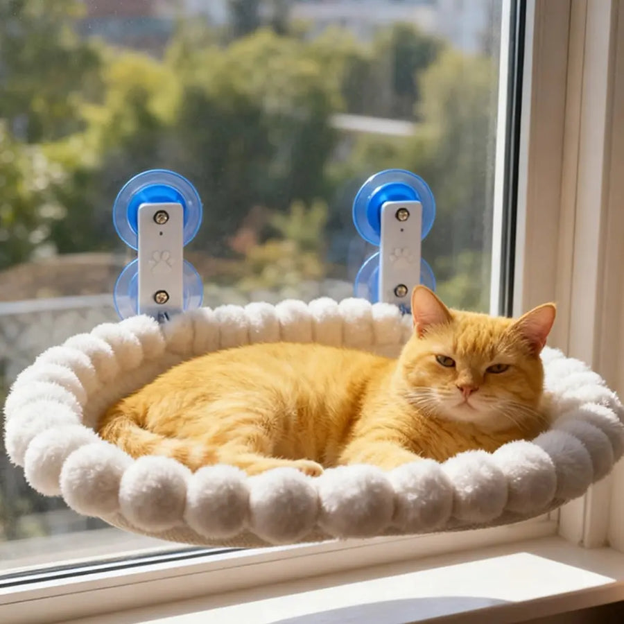 Foldable Cat Hammock, Cute Kitty Kitten Bed for Cats up to 20 Kg: Window Hanging Bed with Strong Suction Cups, Easy Installation, Removable Design for Home Use