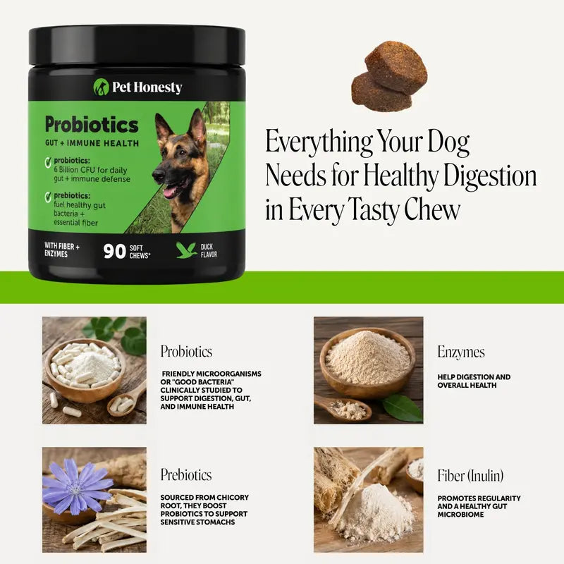 Pet Honesty Probiotics Gut + Immune Health with Prebiotics & Enzymes Duck Flavored Soft Chews Digestive Supplement for Dogs, 90 Count