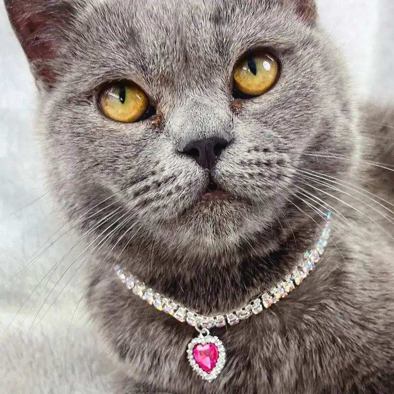 Small Heart Pendant Pet Necklace