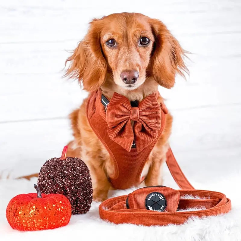 Adjustable Corduroy Dog Harness - Rust