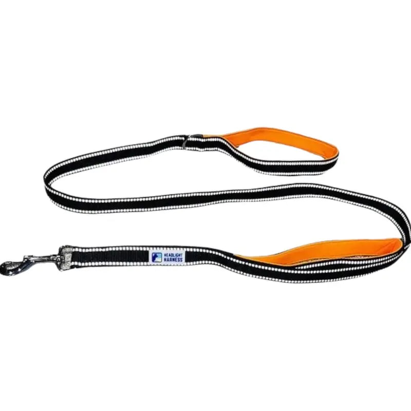 Headlight Harness Reflective Double Leash