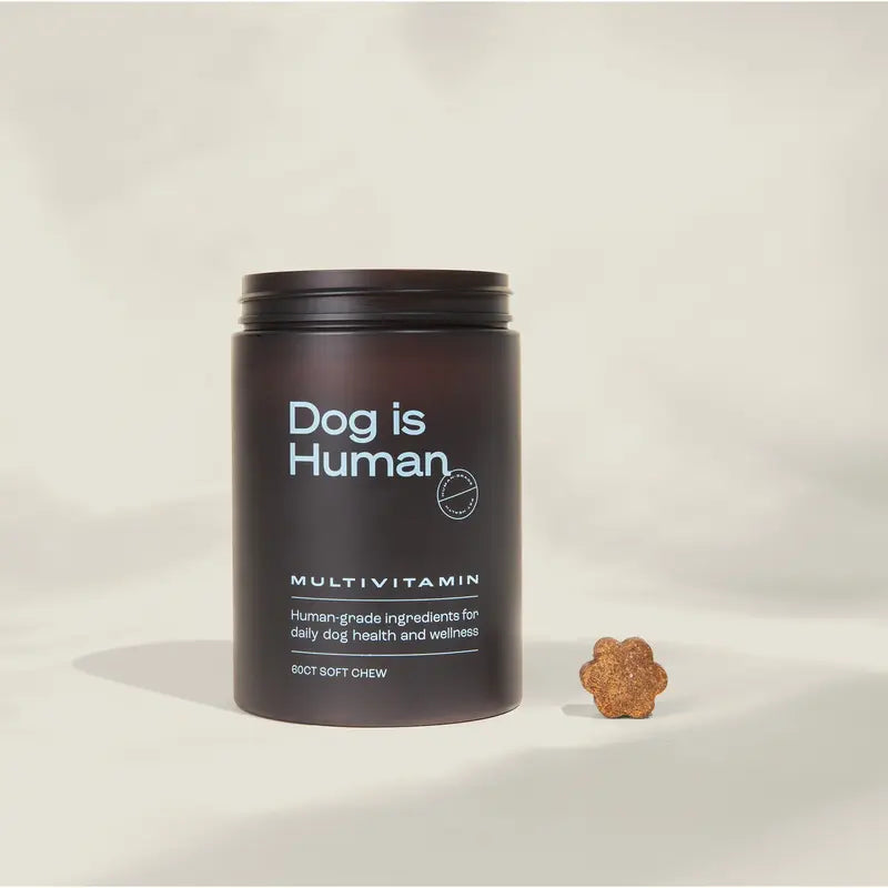 Dog Is Human Daily Multivitamin for Dogs (Chicken Flavor) Human-Grade, Vet-Formulated, Made in Vermont