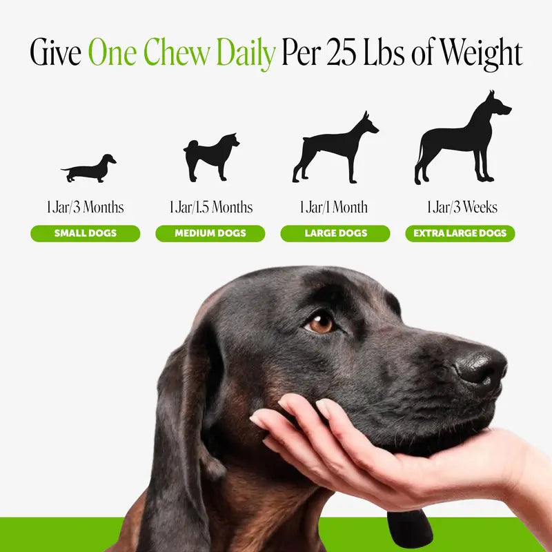 Pet Honesty Probiotics Gut + Immune Health with Prebiotics & Enzymes Duck Flavored Soft Chews Digestive Supplement for Dogs, 90 Count