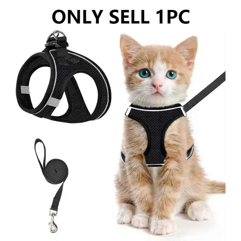 Adjustable Pet Harness & Leash Set, Breathable Mesh Cat Harness with Leash, Pet Supplies for Outdoor Walking, No Pull Harness, Kitten Harness and Leash Set