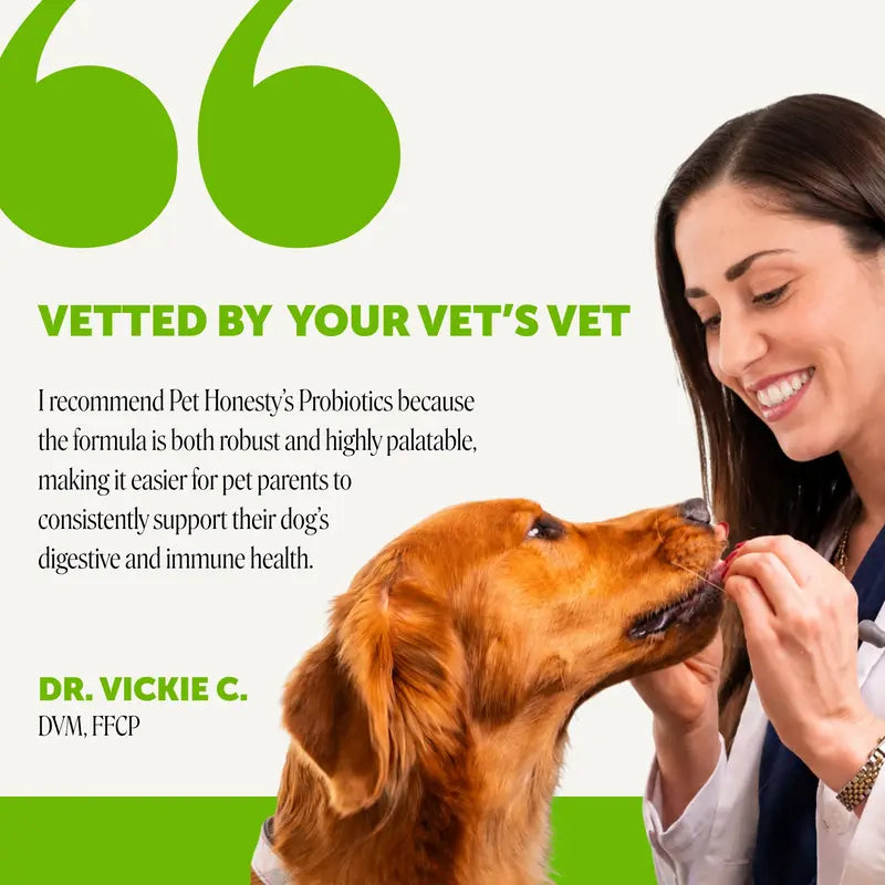 Pet Honesty Probiotics Gut + Immune Health with Prebiotics & Enzymes Duck Flavored Soft Chews Digestive Supplement for Dogs, 90 Count