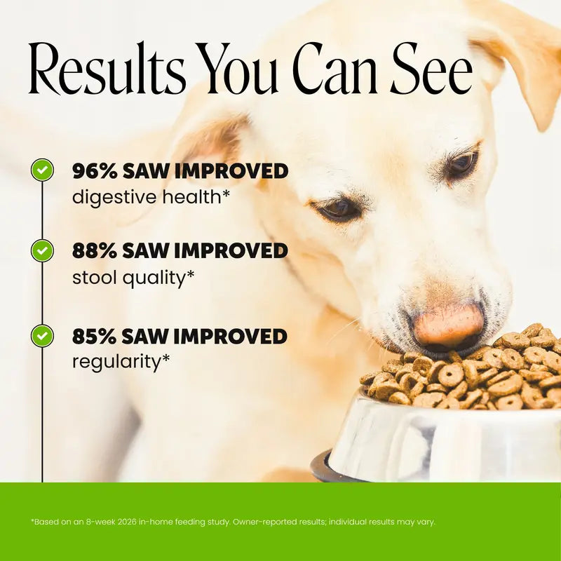 Pet Honesty Probiotics Gut + Immune Health with Prebiotics & Enzymes Duck Flavored Soft Chews Digestive Supplement for Dogs, 90 Count