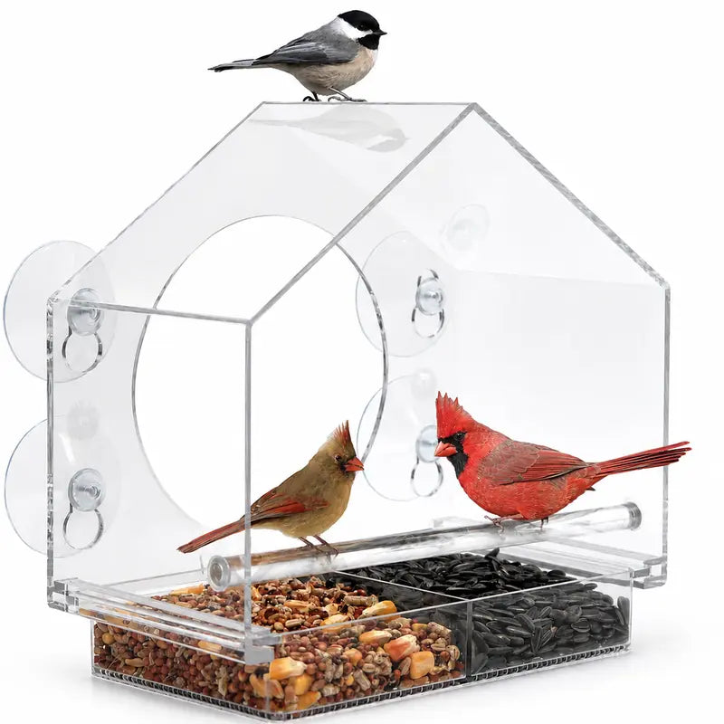 Clear Acrylic Window Birdfeeder with 4 Strong Suction Cups, Removable Sliding Tray, Easy-Clean Weatherproof Outdoor Design for Close-Up Viewing | Nature Anywhere, Ideal Gift for Enthusiasts
