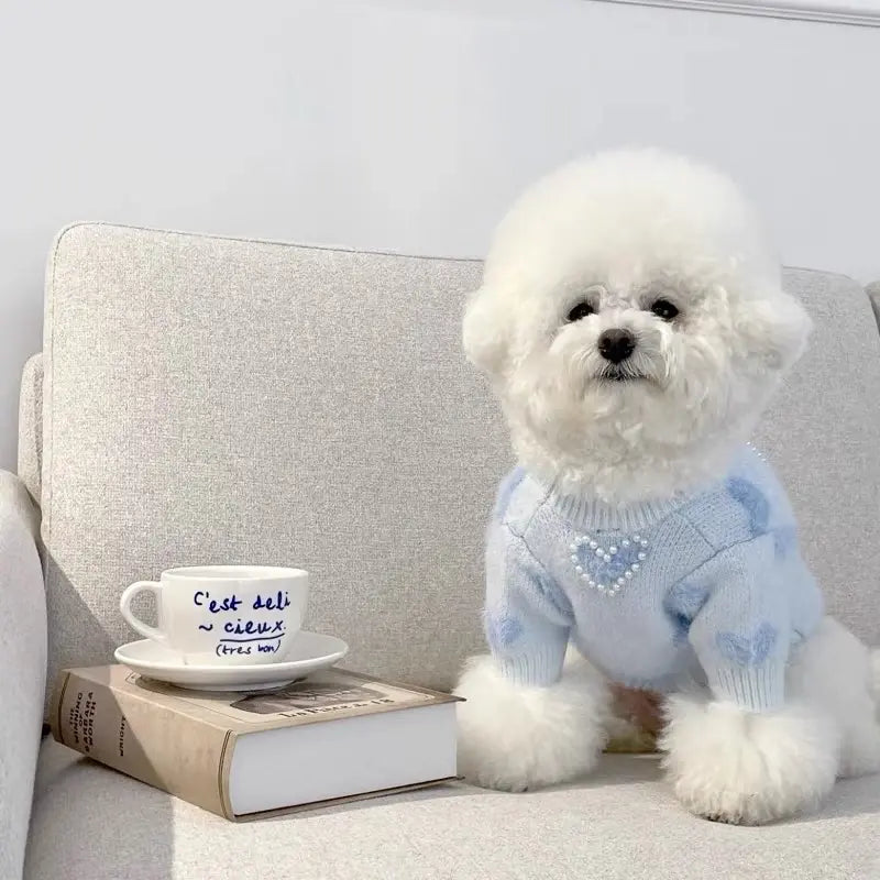 Fuzzy Blue Dog Sweater